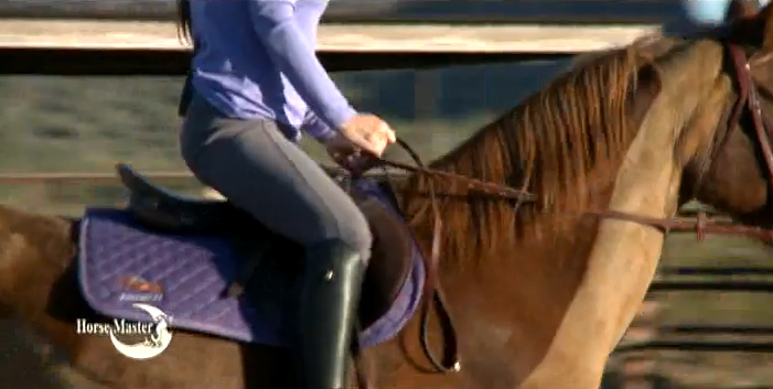 Horse Master with Julie Goodnight