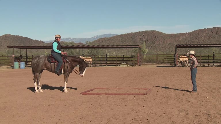 Episode 919 Behind the Scenes