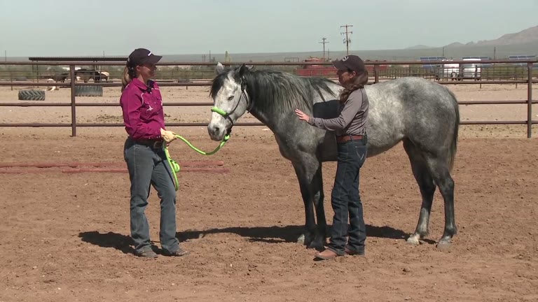 924 Behind the Scenes