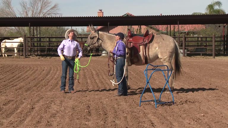 Betty Lou Knew Behind the Scenes