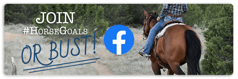 Join the Horse Goals or Bust Facebook Group