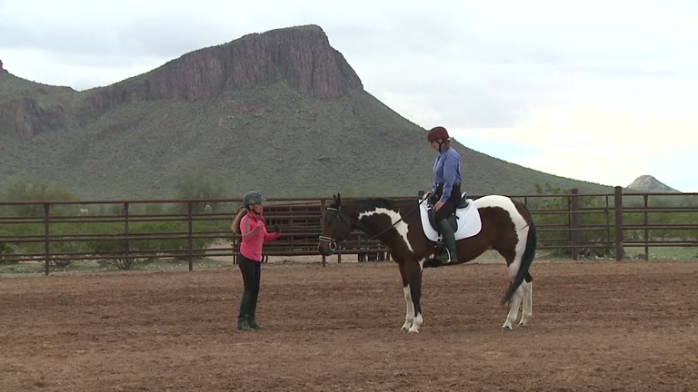 Woman on paint horse talking to Julie.
