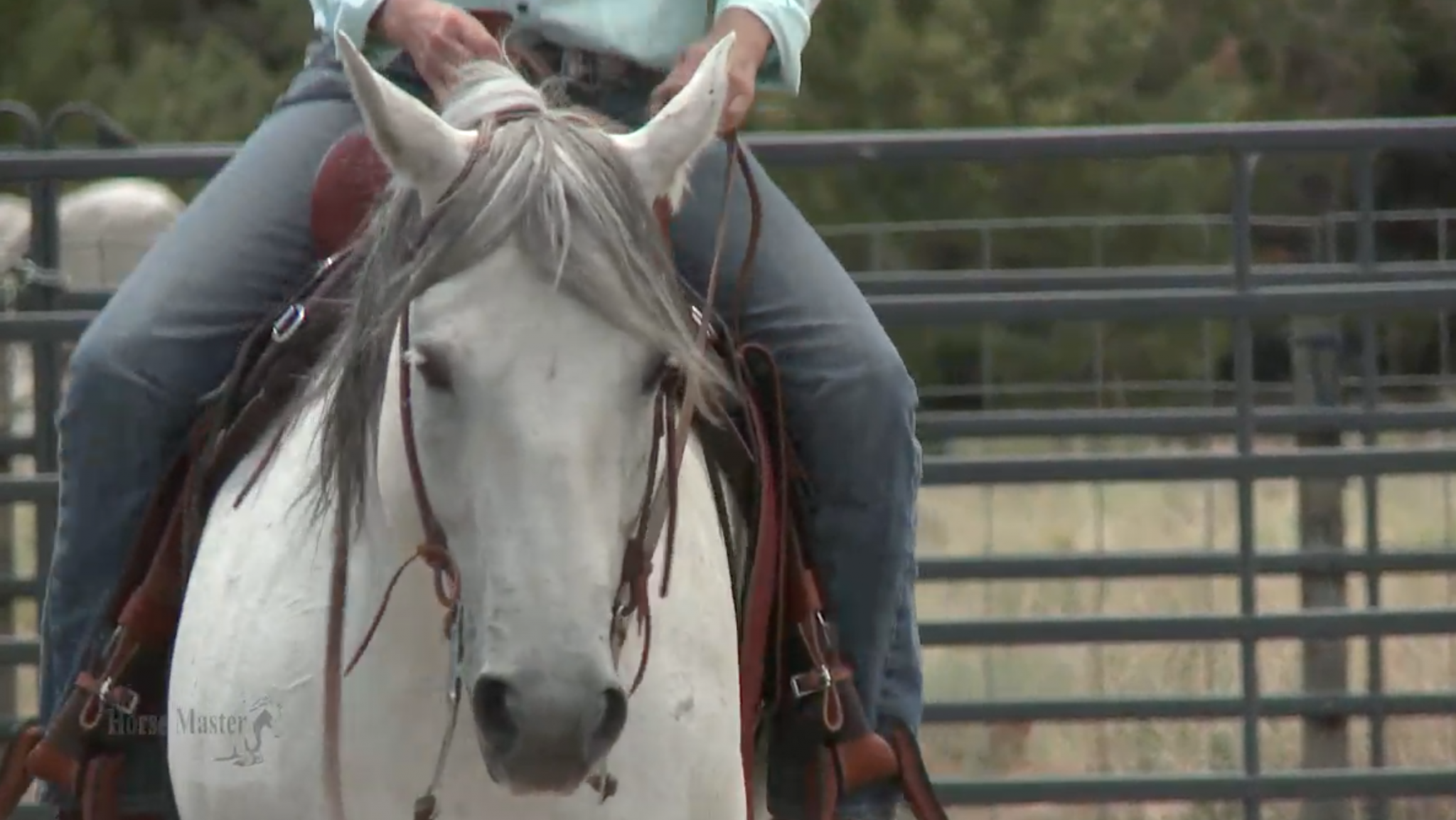 Screen Shot 2018-01-08 at 11.44.07 AM Apple, the horse starring in this episode.