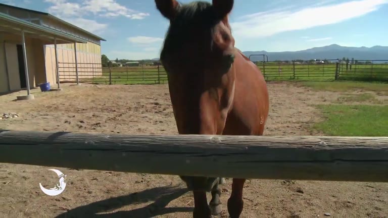 Julie riding Annie in the arena.