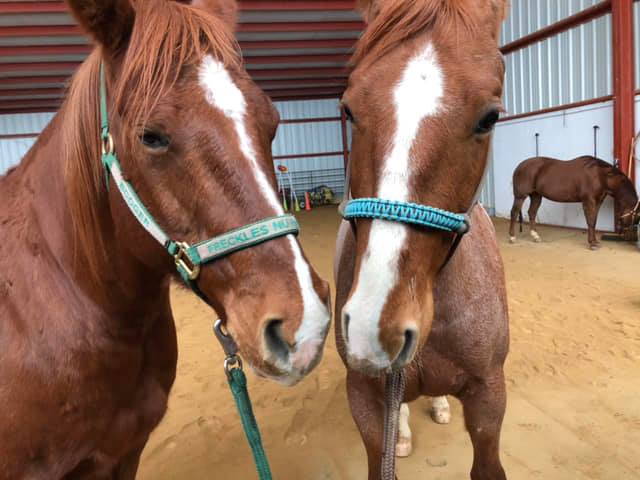 Pepper and Mel's horse, Booger
