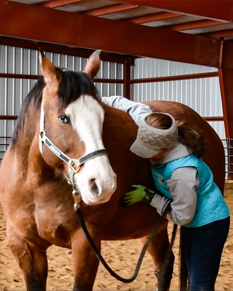 Julie grooming Abner with Handson Gloves