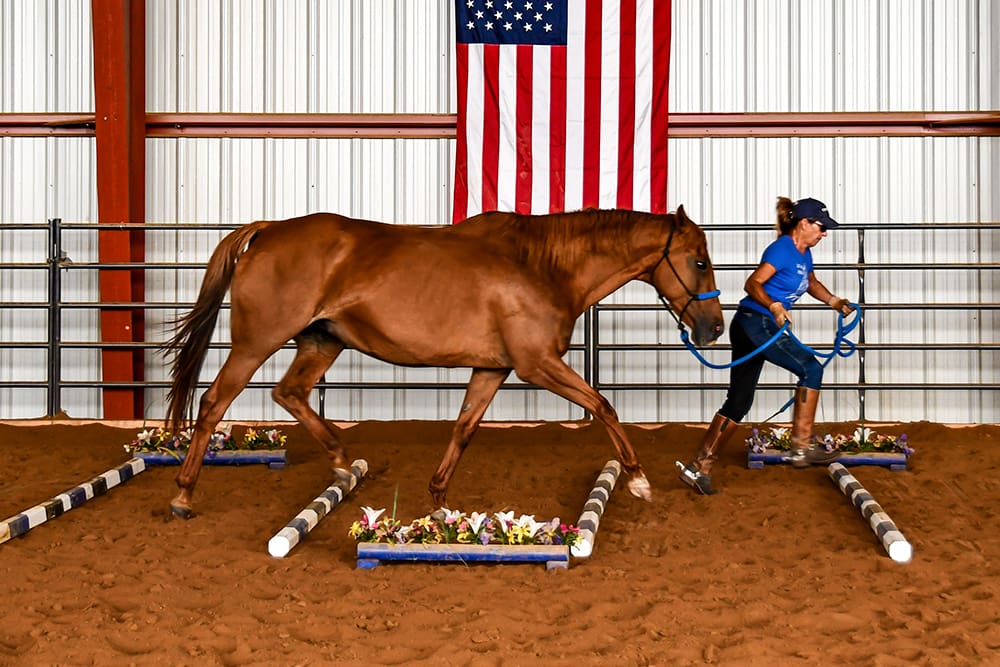 Truth and Julie running over ground poles.