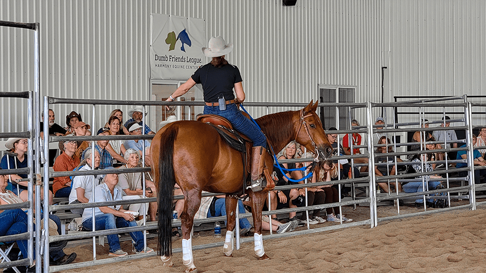 A Smile In The Face Of Adversity