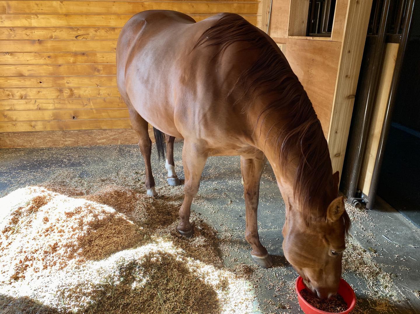 Chicken Liver Hydrolysate powder manufacturer Chicken Liver Hydrolysate powder manufacturer