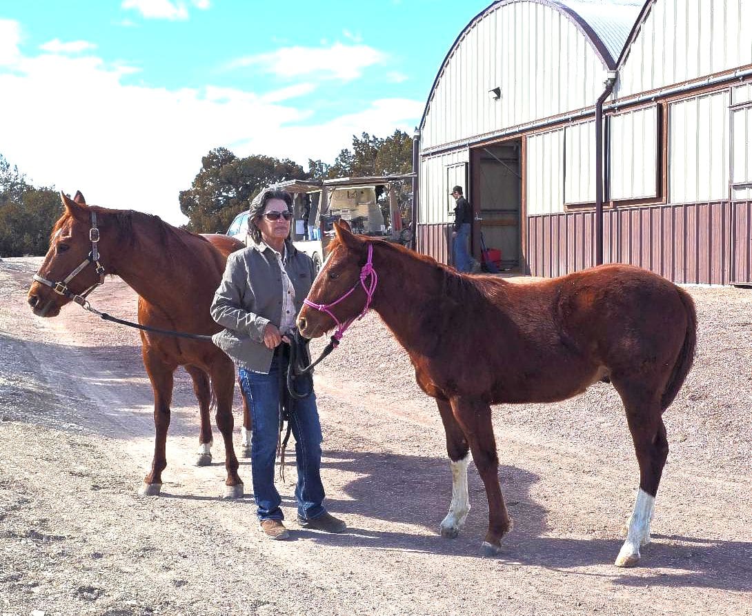 March 2025 Horse Report