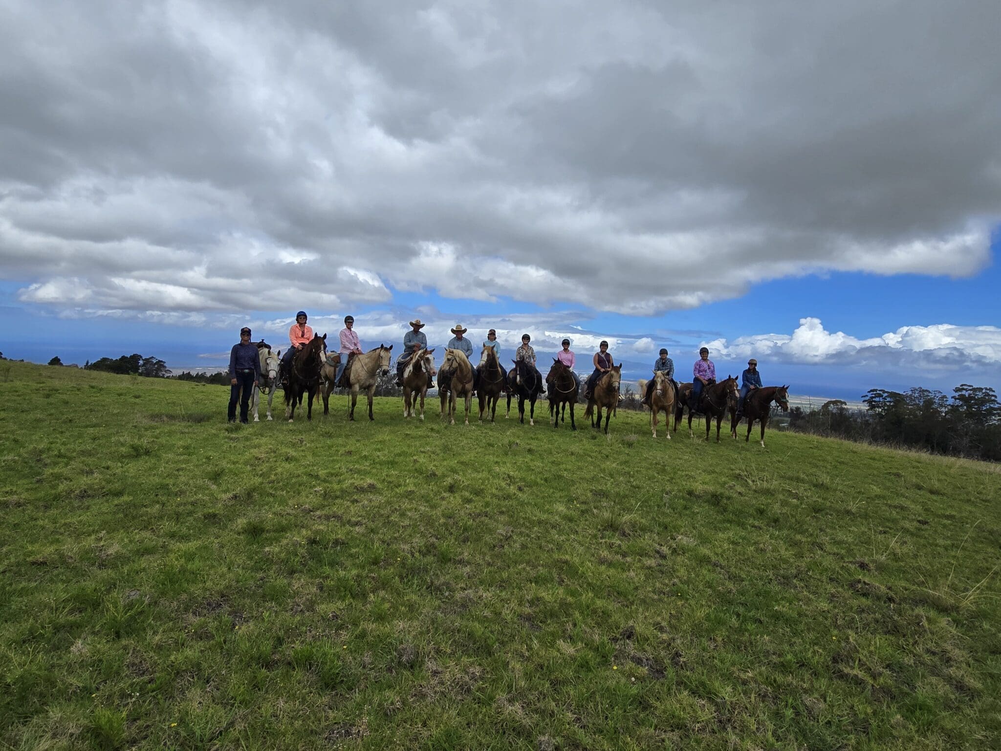 May 2025 Horse Report