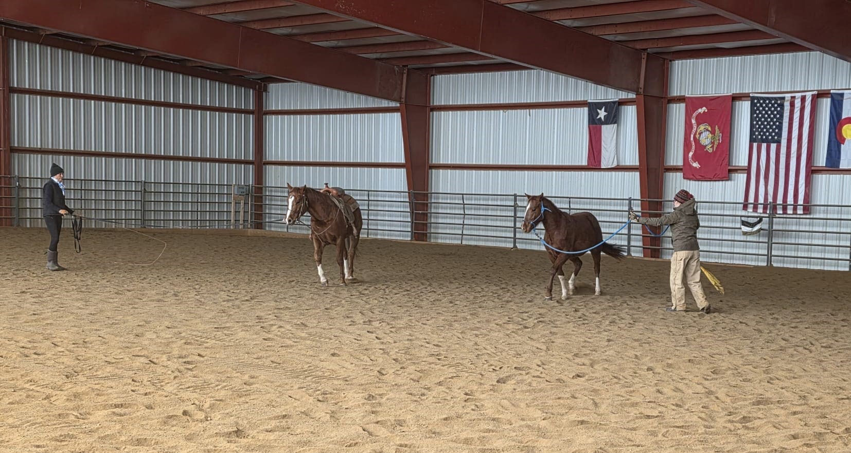 Horse Report - January 2026